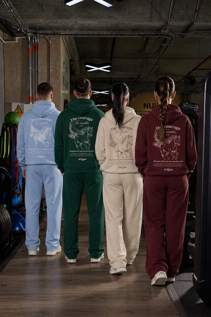 HOODIE EVOLVE